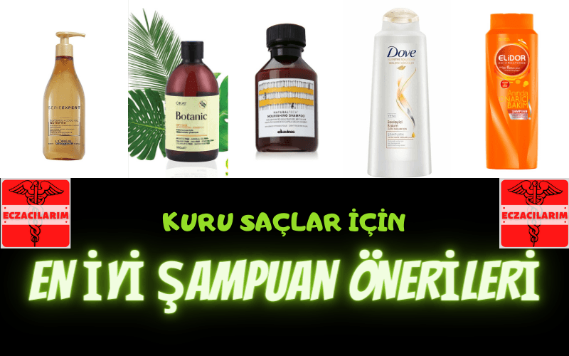 Kuru Saçlar için En İyi Şampuan