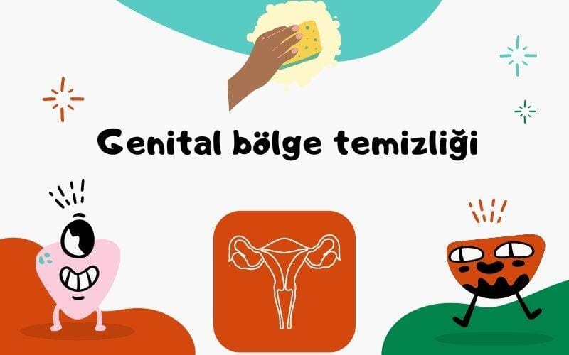 Vajina florası