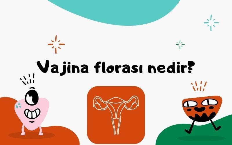 Vajina florası nedir