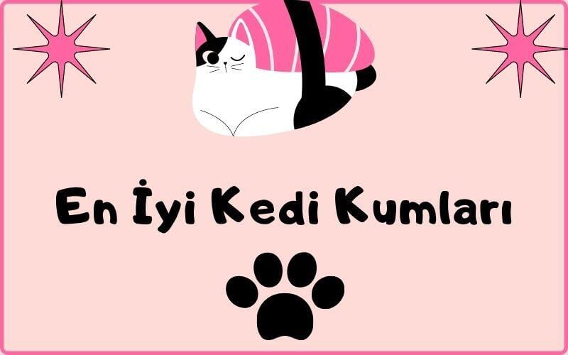 En İyi Kedi Kumu