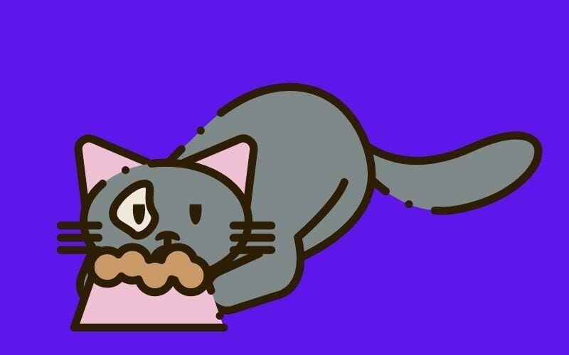 Kedi Maması