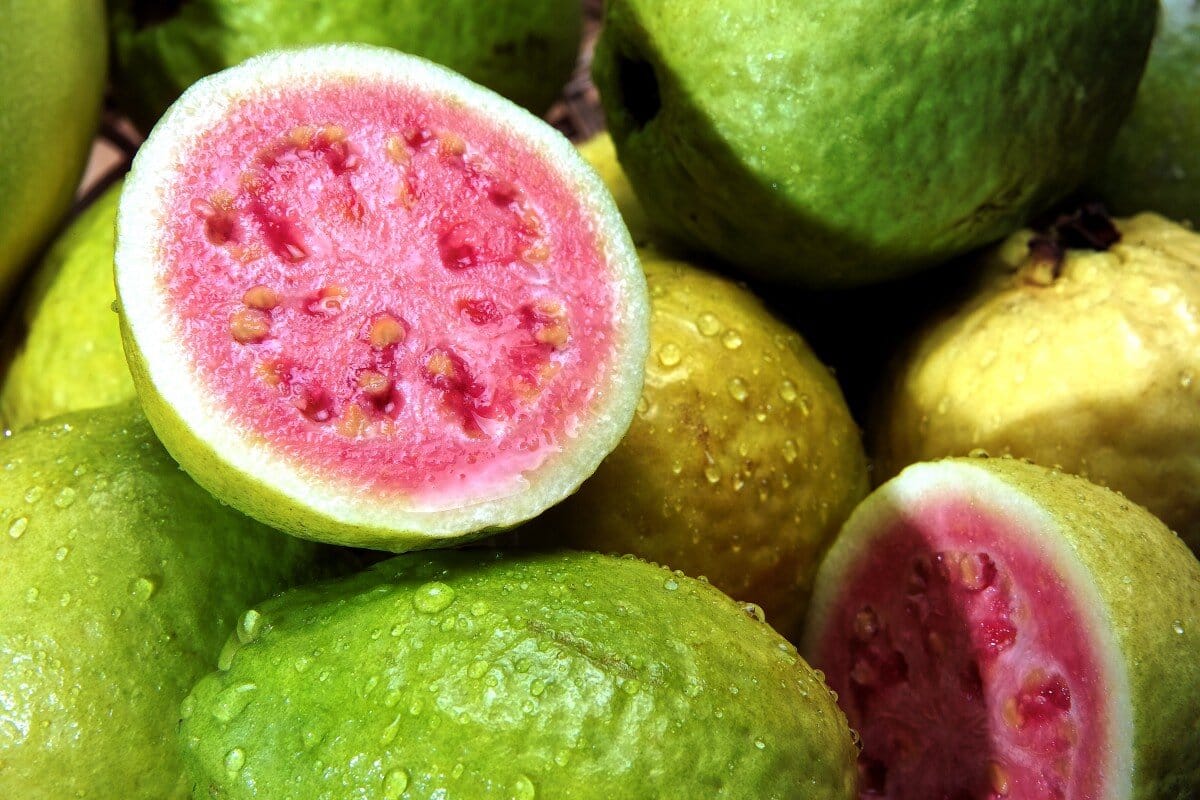 Guava Yaprağı Çayı Nedir, Faydaları Nelerdir?