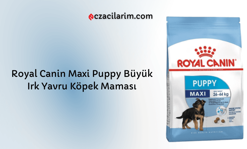 Royal Canin Maxi Puppy Büyük Irk Yavru Köpek Maması
