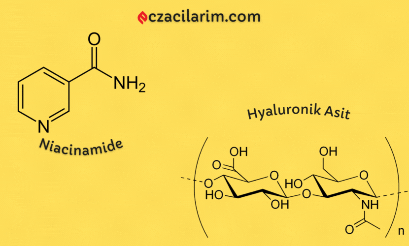 Niacinamide vs Hyaluronik Asit: Hangisini Kullanmalısınız?