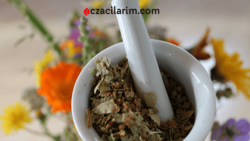 Bitki Bazlı Diyetler: Faydaları ve Nasıl Başlanır?