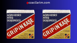 Gripin Ne İşe Yarar, Nasıl Kullanılır?